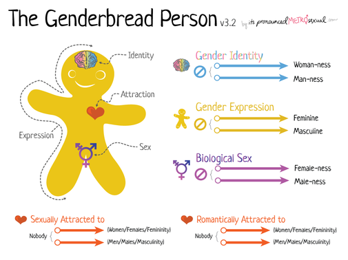 Gender And Sexual Diversity Gsd